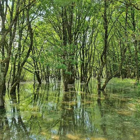 Szálloda Eqynox